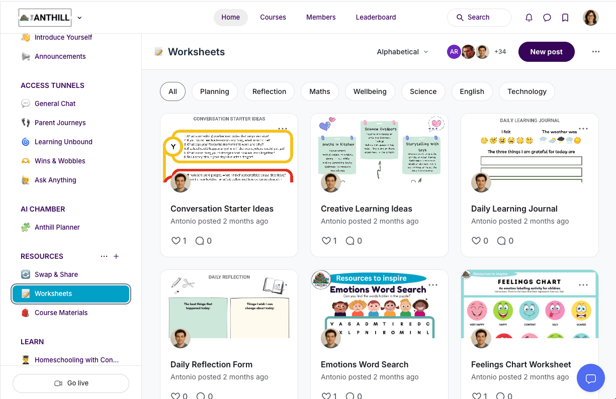 The Anthill Community